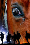 Buy tickets for War Horse tour