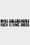 Noel Gallagher's High Flying Birds archive