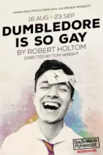 Dumbledore is so Gay