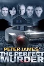 The Perfect Murder