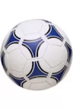 Football - Plymouth Argyle