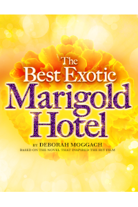The Best Exotic Marigold Hotel archive