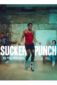 Sucker Punch archive