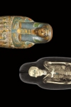 Exhibition - Ancient Lives: New Discoveries archive