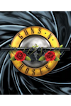 Guns 'n' Roses - Not in this Lifetime archive