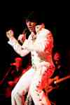 One Night of Elvis at Leas Cliff Hall, Folkestone