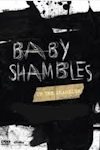 Babyshambles - Sequel to the Prequel Tour archive