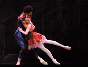 Birmingham Royal Ballet - Checkmate/The Lady and the Fool/Hobson's Choice archive