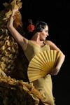 Gala Flamenca - Compania Maria del Mar Morenco, starring Pastora Galvan & La Moneta: Mujeres de cal y cante archive