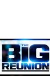 The Big Reunion - The Boy Band Tour 2014 archive