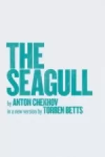 The Seagull